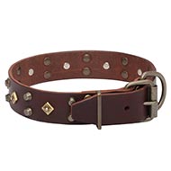Leather Collar for Large Dog