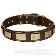 Dog Leather Collar Wide with Decorative Plates