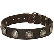 Leather Dog Collar with Round Deco