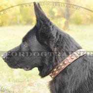 Genuine leather collar with metal decoration