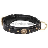 Super Stylish Leather Braided Collar with Brass Fittings