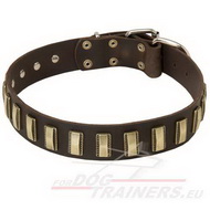 Luxury dog collar with the best metal decorations!