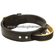 Two ply leather agitation dog collar for German Shepherd