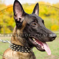 Malinois Spiked Leather Collar