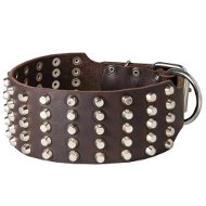 Wide Dog Collar with Small Pyramids