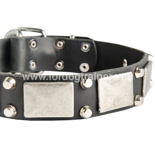 Sparkling dog collar of natural leather for large dog