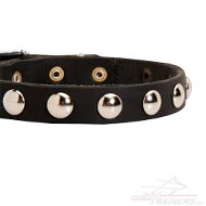 Leather Dog Collar with Round Studs