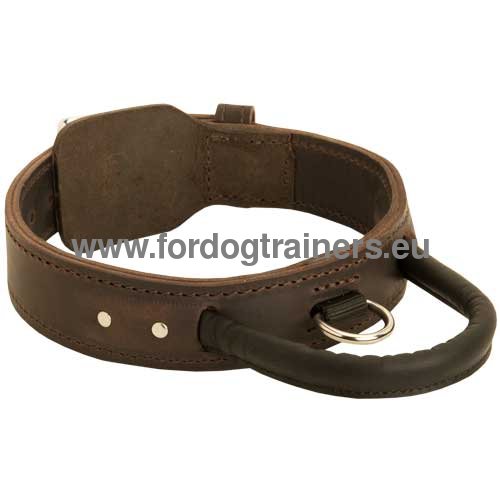 Practical leather collar with special comfortable handle
for Siberian Husky and Akita-Inu