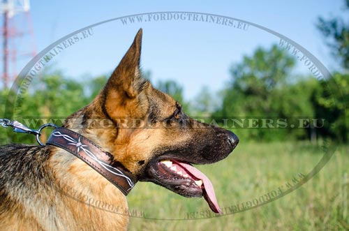 Durable Dog Collar with excusive design 