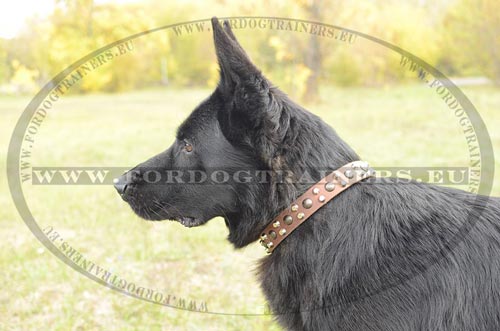 High-quality leather dog collar with half balls and
pyramids
