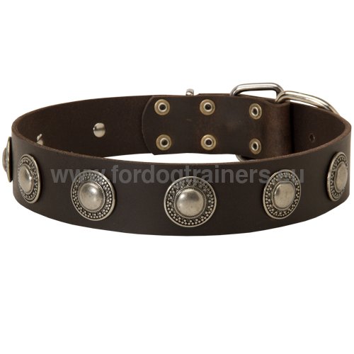 High-quality leather collar for Boxer