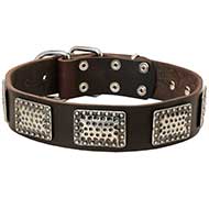 Exclusive Leather Dog Collar With Vintage Plates