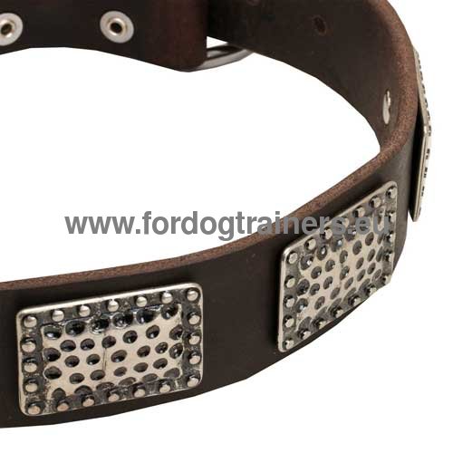 Selected Genuine Leather Collar with Plates
for Pitbull