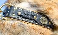 Thick padded dog collar ornamented