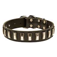 Dog Collar Genuine Leather and Metal Plates
