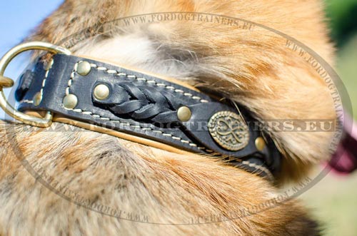 Comfortable dog collar best for stylish GSD