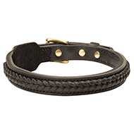Leather Dog Collar with Braid and Rivets