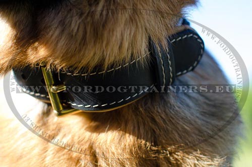 Fancy dog collar with nappa padding