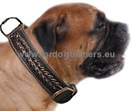 Handmade Braided Leather Dog Collar for Bullmastiff ⧓