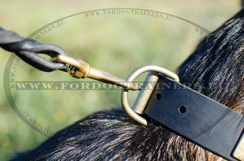 Leather collar German Shepherd ring for a leash