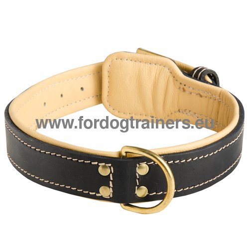 Trendy Practical Leather Dog Collar for German Mastiff 
