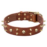 Leather Dog Collar with Gold-like Skulls
