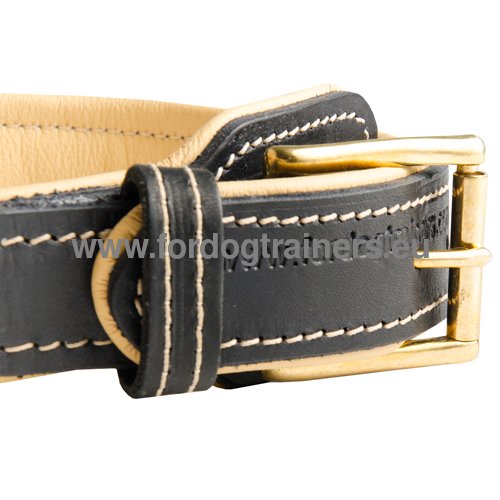Leather Dog Collar with Brass Fittings