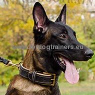 Nappa-padded Leather Collar for Malinois