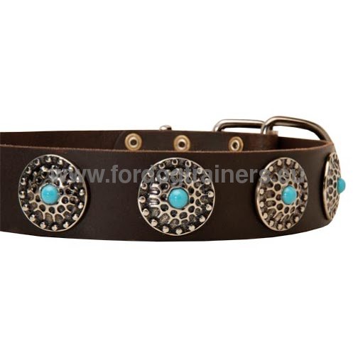 Bullmastiff top-quality collar with turquoise-colored
stones