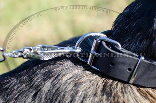 Leather collar for German Shepherd - dog product with reliable furniture 