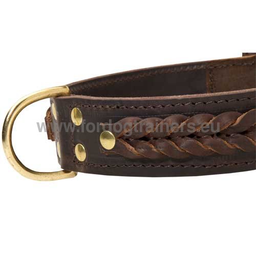 Handcrafted Dog Collar with Braids