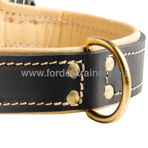 Leather Dog Collar with Rustproof Brass Furniture