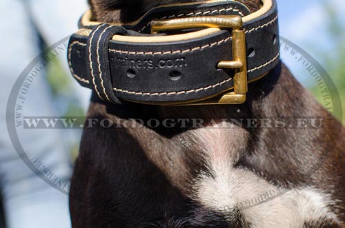 Ultra Solid Leather Collar with Nappa Padding for
Pitbull