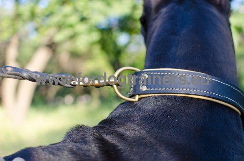 Practical and Stylish Collar with Nappa Padding for Great Dane