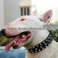 Bullterrier Hundehalsband aus Leder mit 3-reihigen Spikes