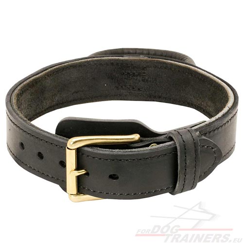 Solid 2ply leather collar for German Shepherd