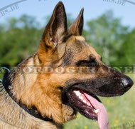 Dog Collar Nylon with Cut Cones for German Shepherd