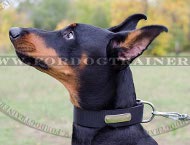 Doberman Nylon Collar Super Strong with ID Plate