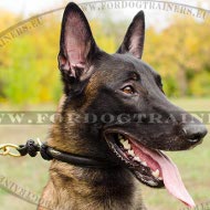 Dog Choke Leather, Training Dog Collar Round