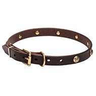 Narrow Dog Collar with Stamped Studs