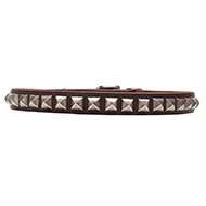 Leather Collar for Canine with Chrome-plated Studs