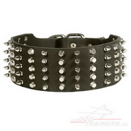 Wide Dog Collar with Studs