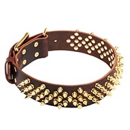 Collar Leather with Brass Spikes for Dog ↟