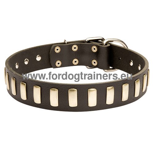 Stylish Leather Collar for Siberian Husky