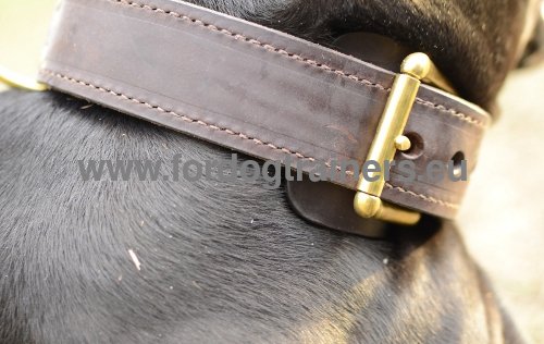Handcrafted collar with grip handle for Pitbull