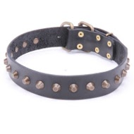 Leather Dog Collar with Pyramids!◘