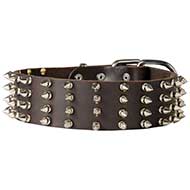 Studded Collar for Fat Dog