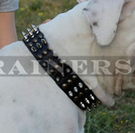 Pitbull Leather Dog Collar with Spikes and Studs ☘