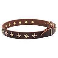 Star Theme Leather Dog Collar