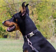 Nylon Dog Collar K9, Lightweight for Doberman